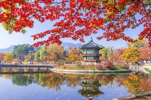 韩国红叶季之美。图自越南人民报 