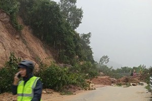 大领乡古马岭与贾岭地区发生严重山体滑坡。 