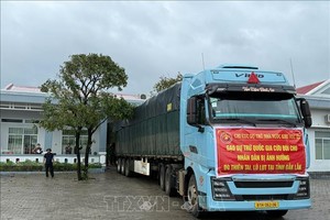 援助大米获运往德乐省受洪涝严重影响的地方。 