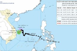 12月1日下午，15号台风已减弱为热带低气压。 
