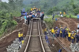 受雨洪影响 北-南铁路线多趟列车未能运行 