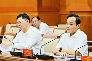  胡志明市市委书记陈留光主持推动项目开展与公共投资资金拨付进度会议 