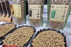 越南进入咖啡采收旺季，价格正大幅下降。 