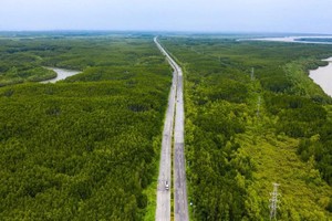 胡志明市滨城—芹耶高速铁路项目于12月19日动工。 