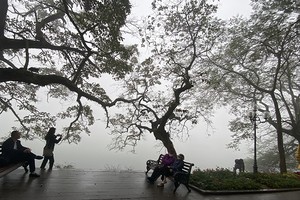  北部清晨出现轻雾。