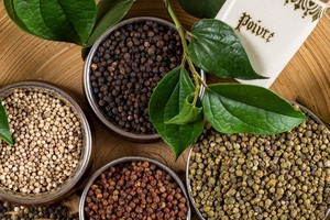 今年前11个月越南胡椒出口额突破同比增长逾24%