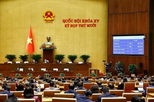 国会表决通过《引渡法》。图自越通社 