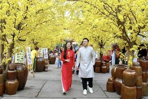 越南春节盛会已与市民相伴18多年。 