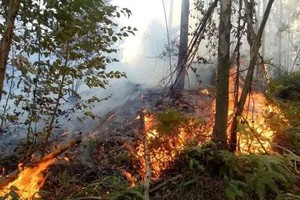 台湾地区云林山火延烧超一天 有扩大趋势