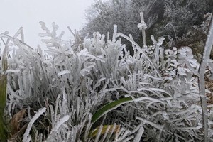 出现冰霜风险。