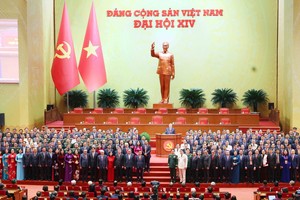 党第十四届中央委员会。 