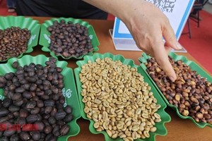 咖啡价格飙升。