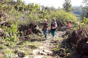 帕维古石径。图自越通社 