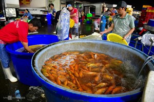 胡志明市最大鲤鱼市场灶王节门庭若市