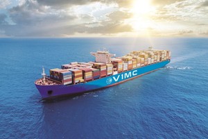 越南现有8艘船舶和160名船员在中东地区运行。图自越通社 