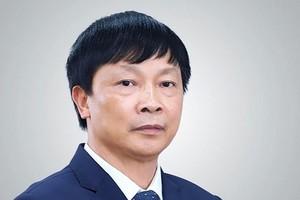 Vinaconex董事会成员、副总经理、原董事长阮友黛。