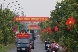 芹苴市广泛宣传选举工作。图自越通社 