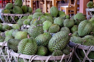 在同奈省统一乡的一个榴梿集散点，榴梿正在被集中堆放。