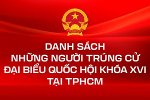 在胡志明市当选第十六届国会代表名单