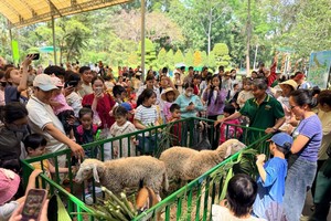 小游客们兴致勃勃地与“Zoobiz偶像”互动交流。 