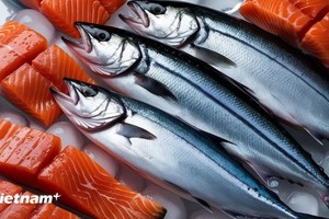 越南是挪威三文鱼出口增长最快的东南亚市场