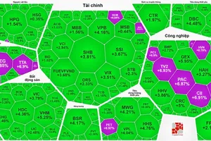 电力股票一律涨停，VN-Index上涨逾43点
