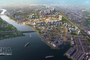 同奈市成立提案卷宗获政府通过。