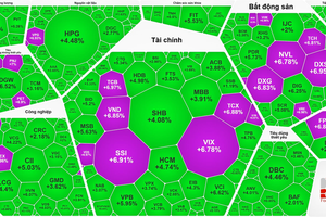  VN-Index指数上涨逾79点。