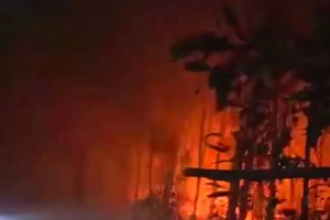 各职能力量与当地居民全力扑救。