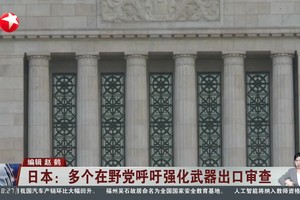 日本多个在野党向政府呼吁强化武器出口审查