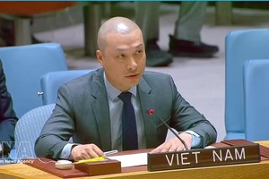 越南常驻联合国代表团副代表阮黄原公使。