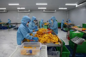 胡志明市各出口加工区、工业区及高新技术区的许多工人有住房需求。