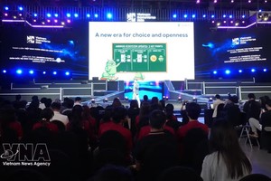 2026年越南游戏节吸引参观者约达6万人次。