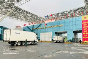 货运车辆在北仑二桥有序排队通关，通过芒街国际口岸。