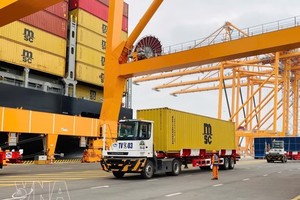 企业在海防国际门户港3号和4号集装箱码头装卸货物。
