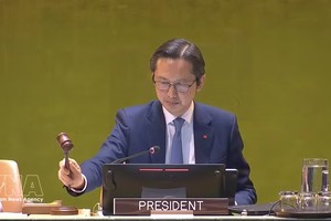 越南常驻联合国代表杜雄越。 