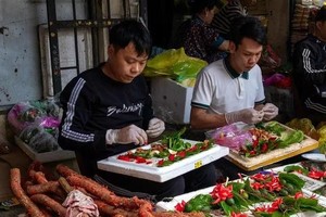 凤凰槟榔——一个至今仍流传下来的传统故事。图自thanhnien.vn 