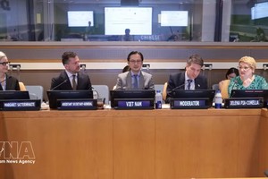 越南常驻联合国代表团团长杜雄越大使主持座谈会。