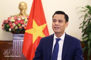 越南外交部副部长、东盟高官会越南代表团团长邓黄江。