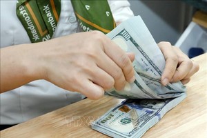 6月16日，美元买入价格大幅下调。