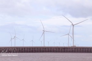 金瓯省投资总额逾6万3000亿元的风电项目动工建设。