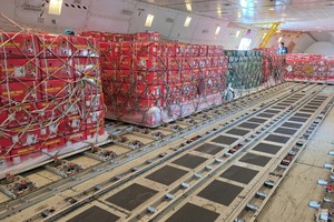 Lulu集团采购的越南农产品通过货运专机运送回国。图：明春 