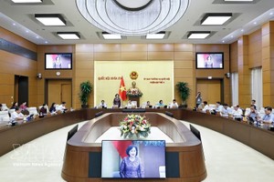 国会主席副主席阮氏红在会议上发表讲话。
