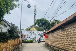 唐林古村的巷道。