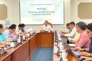 胡志明市人民议会常务副主席阮文寿主持会议。