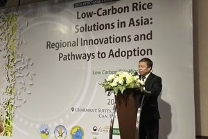 越南农业科学院院长阮鸿山教授在研讨会上发表讲话。图自《政府报》 