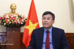 党中央委员、外交部常务副部长阮明宇。