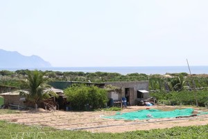 宁顺2号核电站位于永海乡泰安村。
