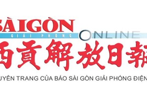 聘用钟点工哪些情况下需要向乡级人委会申报？