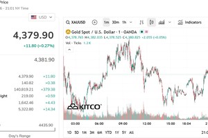  8月11日国际金价走势。来源：Kitco 